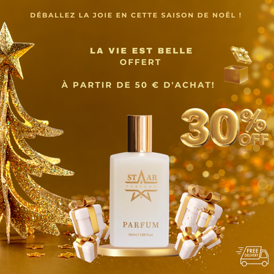 Profitez de la Magie des Fêtes avec Notre Offre Spéciale Noël!