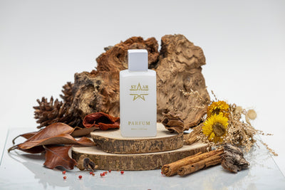 Le Monde des Parfums Équivalents et Dupe : Le Luxe Abordable à Portée de Main