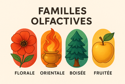 Les familles olfactives chez Parfum Star