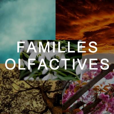 Les types de parfums : les familles olfactives.