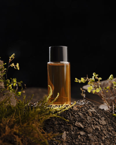 Parfum dupe vs parfum original : quelles différences ?