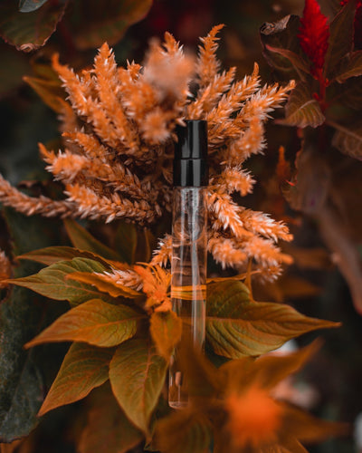 Parfum équivalent : comment bien le choisir et l’adopter ?
