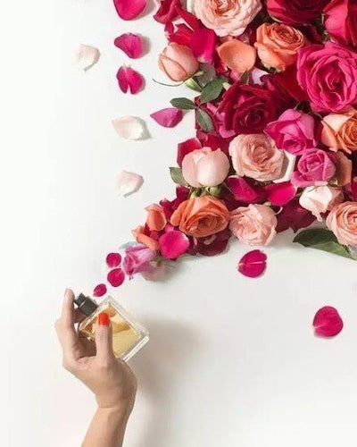 Parfum équivalent : pourquoi la rose sublime chaque fragrance ?