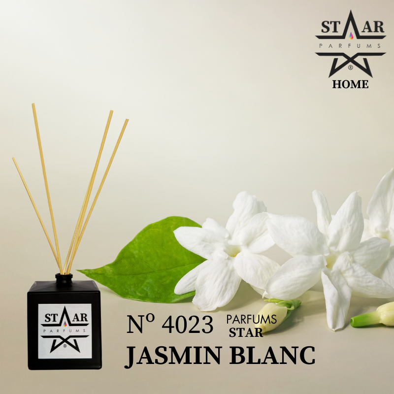 Mikado N° 4023 Jasmin Blanc Zara Home