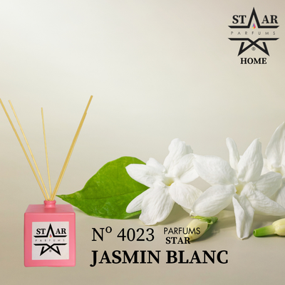 Mikado N° 4023 Jasmin Blanc Zara Home