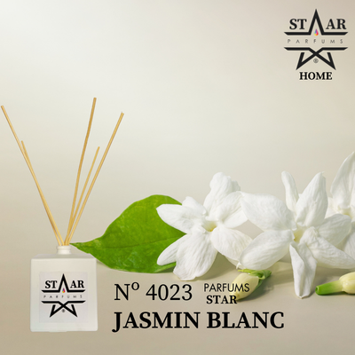 Mikado N° 4023 Jasmin Blanc Zara Home