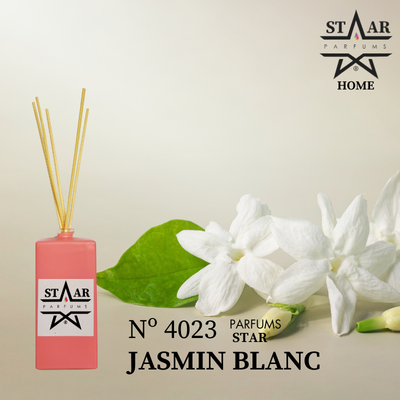 Mikado N° 4023 Jasmin Blanc Zara Home