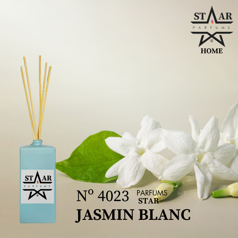 Mikado N° 4023 Jasmin Blanc Zara Home