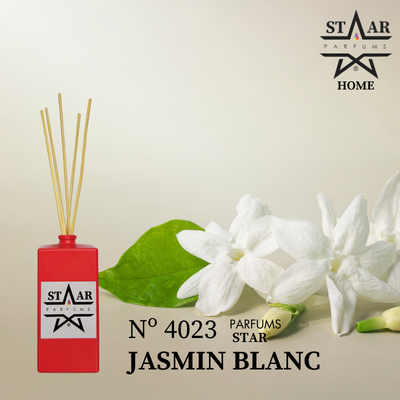 Mikado N° 4023 Jasmin Blanc Zara Home