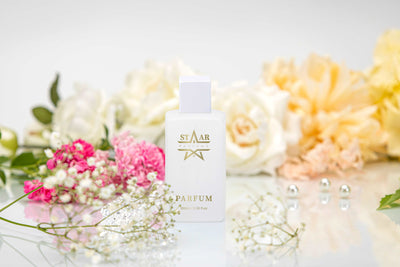 parfums_dupes - parfums_équivalent