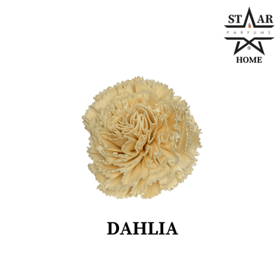 parfums_dupes - parfums_équivalent
