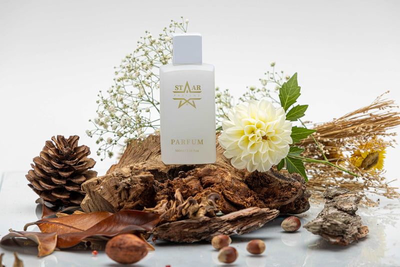 parfums_dupes - parfums_équivalent