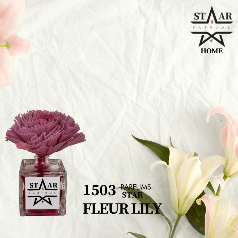 parfums_dupes - parfums_équivalent