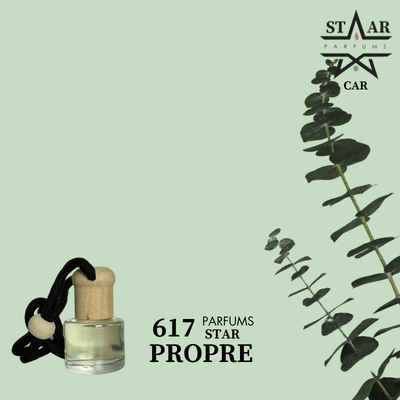 parfums_dupes - parfums_équivalent