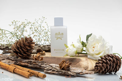 parfums_dupes - parfums_équivalent