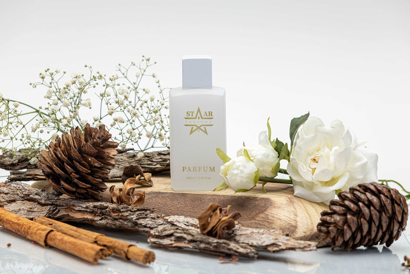 parfums_dupes - parfums_équivalent