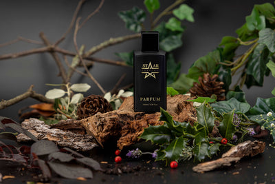 parfums_dupes - parfums_équivalent