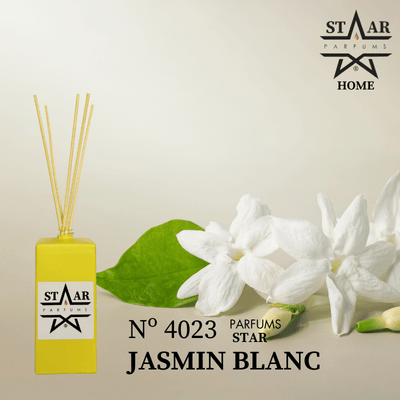 parfums_dupes - parfums_équivalent
