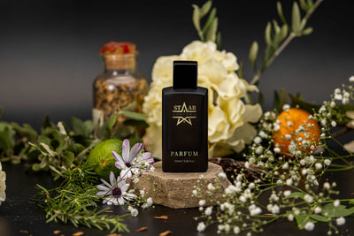 parfums_dupes - parfums_équivalent