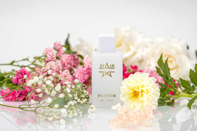 parfums_dupes - parfums_équivalent