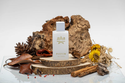 parfums_dupes - parfums_équivalent