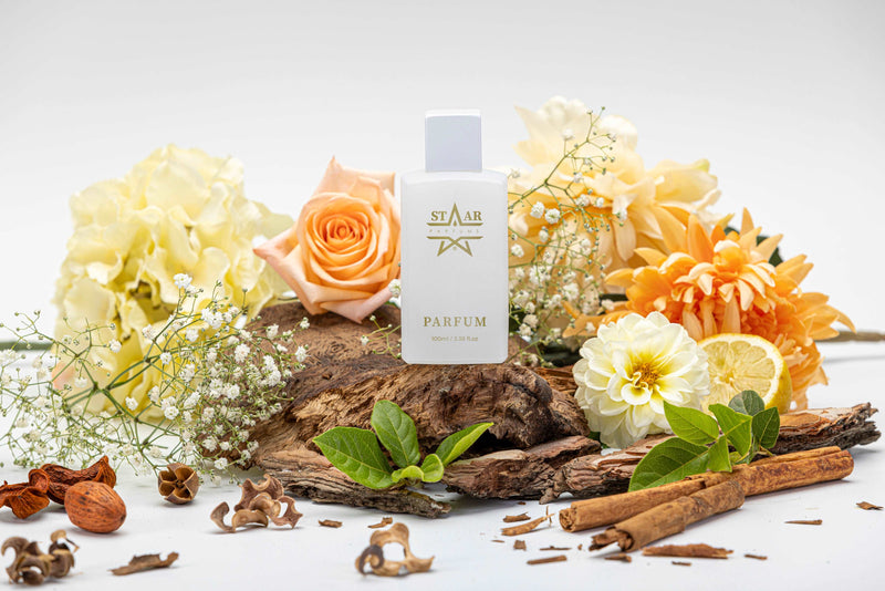 parfums_dupes - parfums_équivalent