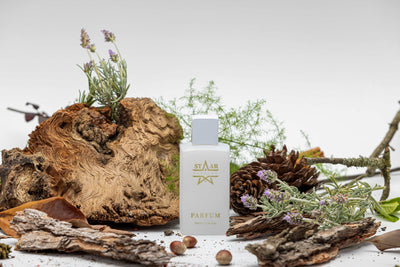 parfums_dupes - parfums_équivalent