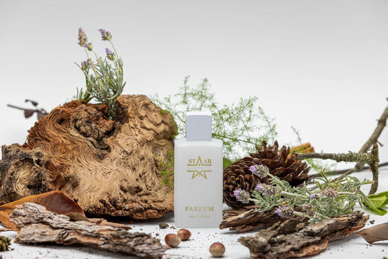 parfums_dupes - parfums_équivalent
