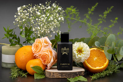 parfums_dupes - parfums_équivalent